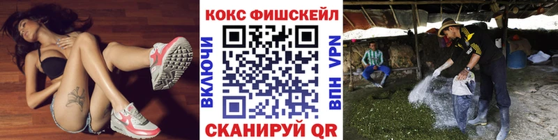 omg tor  Нижнекамск  КОКАИН Fish Scale  наркотики 
