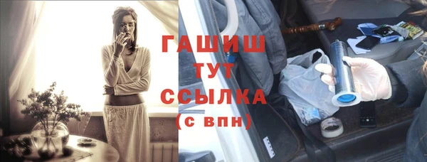 индика Краснослободск