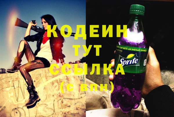 индика Краснослободск