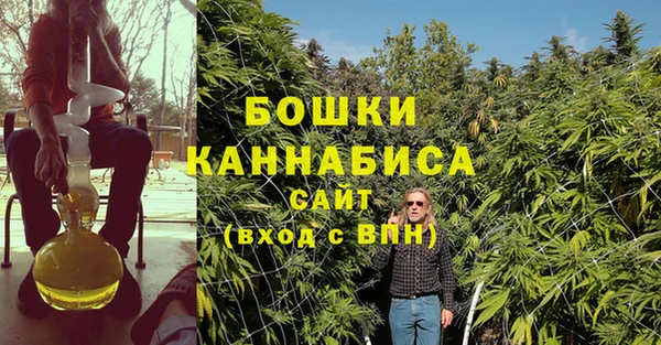 каннабис Корсаков