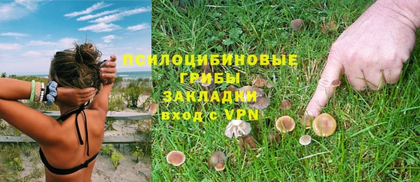 mdpv Коряжма