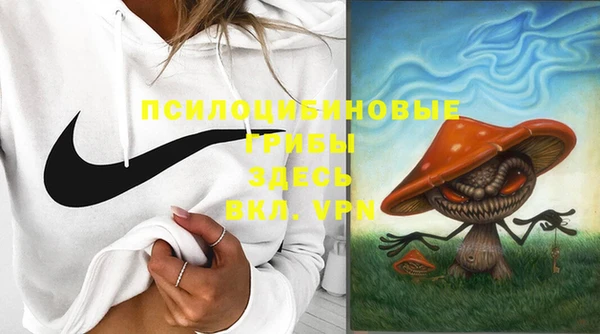 молекула духа Вязьма