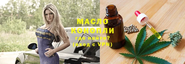 индика Краснослободск
