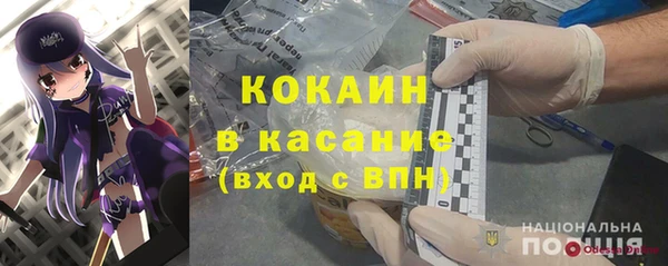 индика Краснослободск