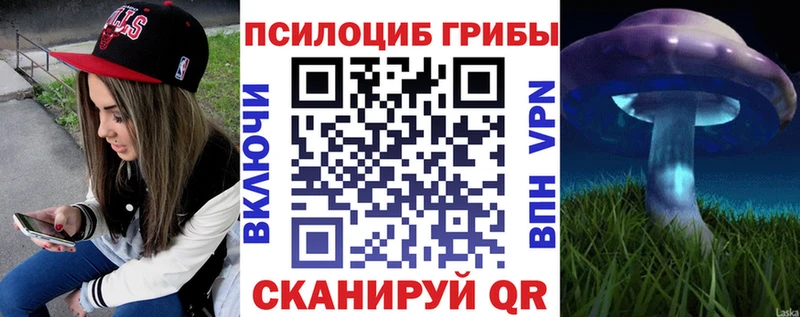 кракен зеркало Нижнекамск Псилоцибиновые грибы Cubensis