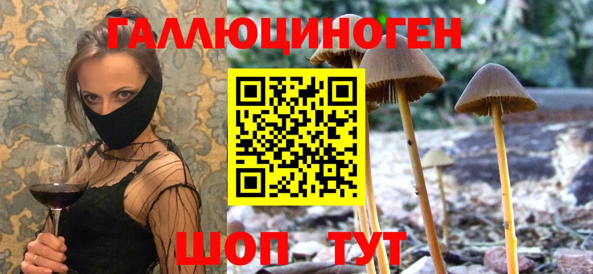 Галлюциногенные грибы Cubensis  Вход с VPN  Нижнекамск  Галлюциногенные грибы мицелий 
